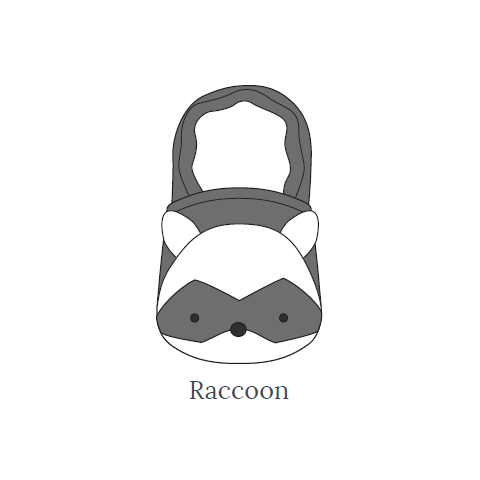 raccoon shoe picture