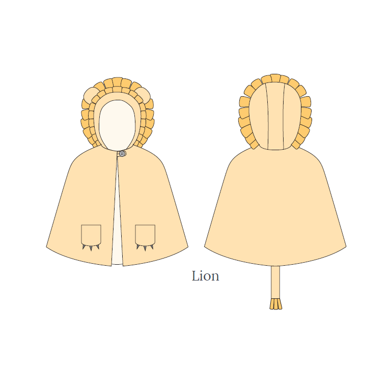 Lion Cape Picture