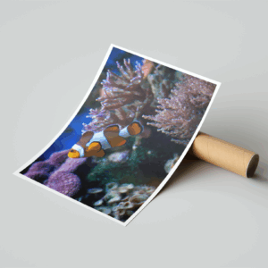 Aquatic Life Print Mockup