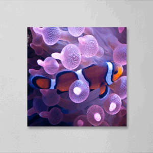 Clownfish Print Mockup