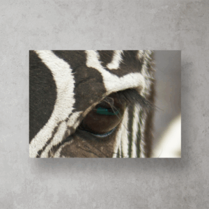 Zebra's Eye Print Mockup