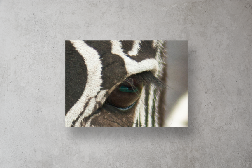 Zebra's Eye Print Mockup