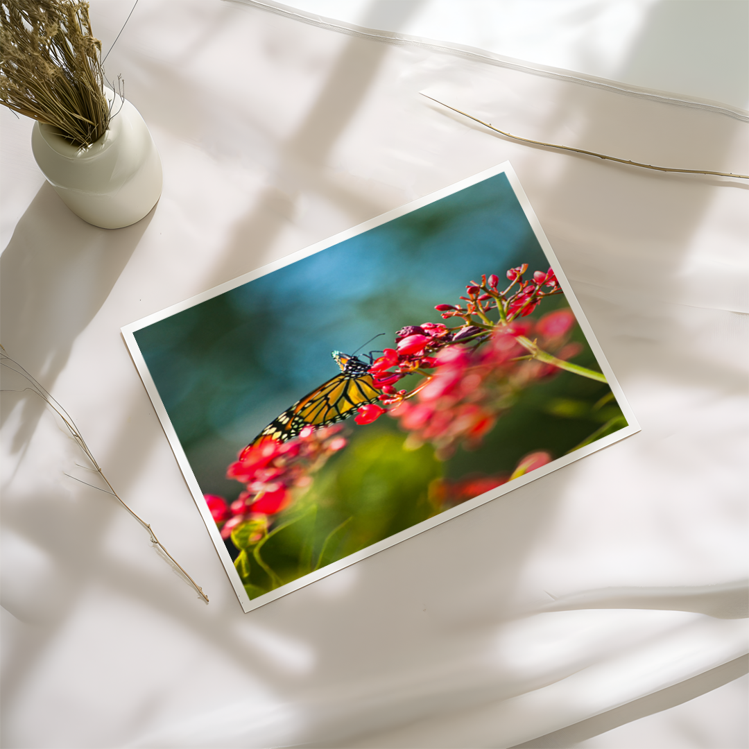 Monarch In A Field Of Flowers Art Print Mockup