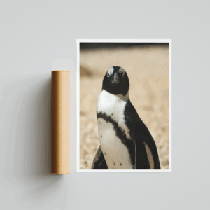 Penguin Art Print Mockup