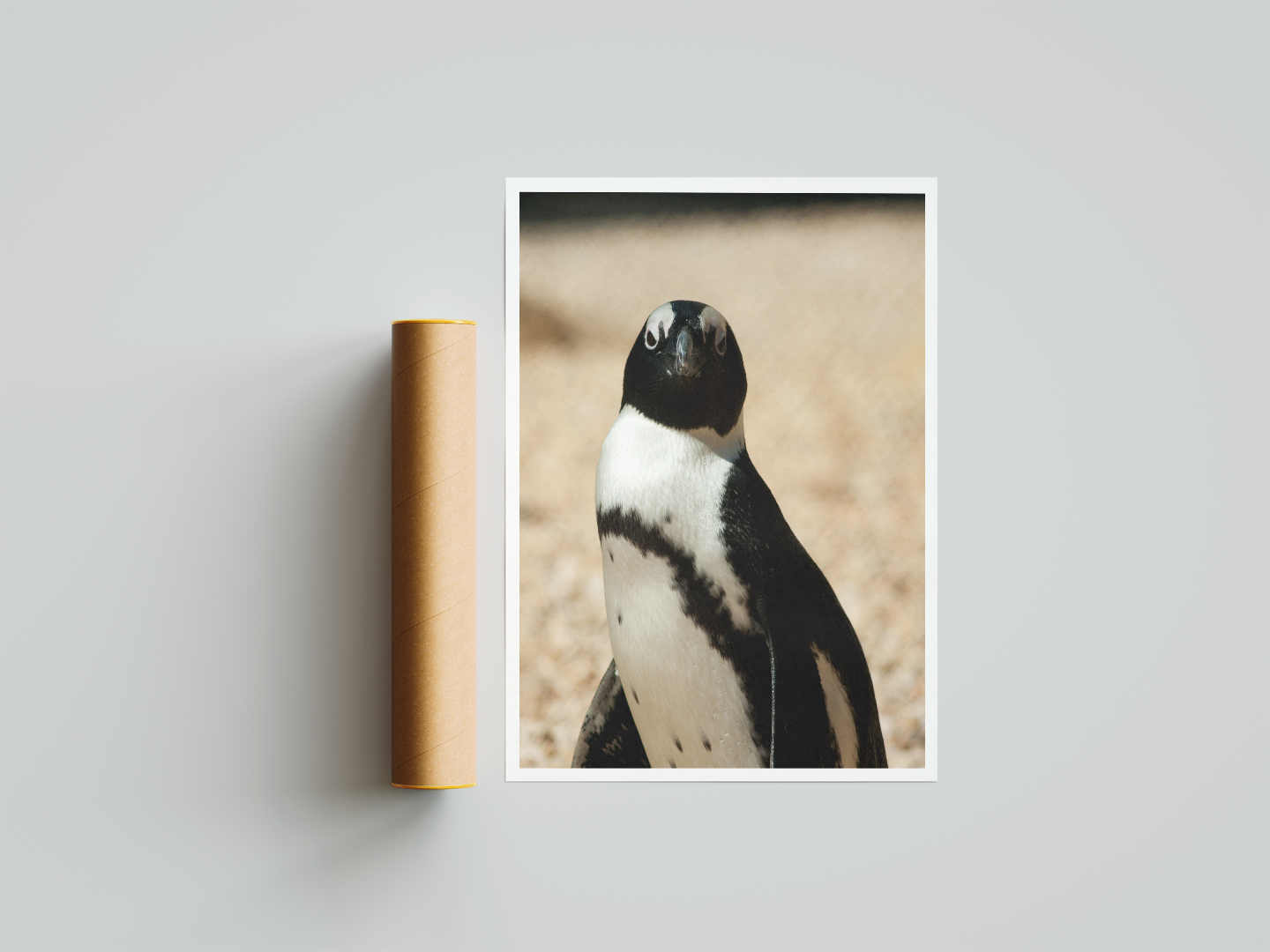 Penguin Art Print Mockup