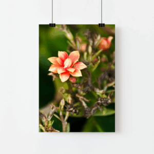 Floral Art Print Mockup