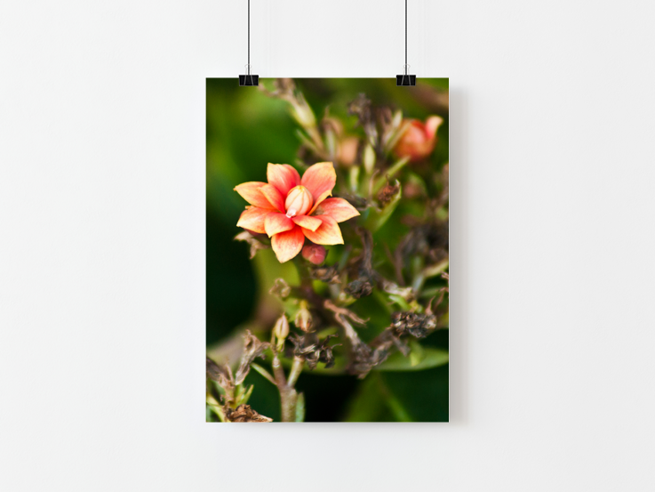 Floral Art Print Mockup
