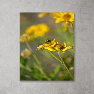 Pollen Harvest Print Mockup