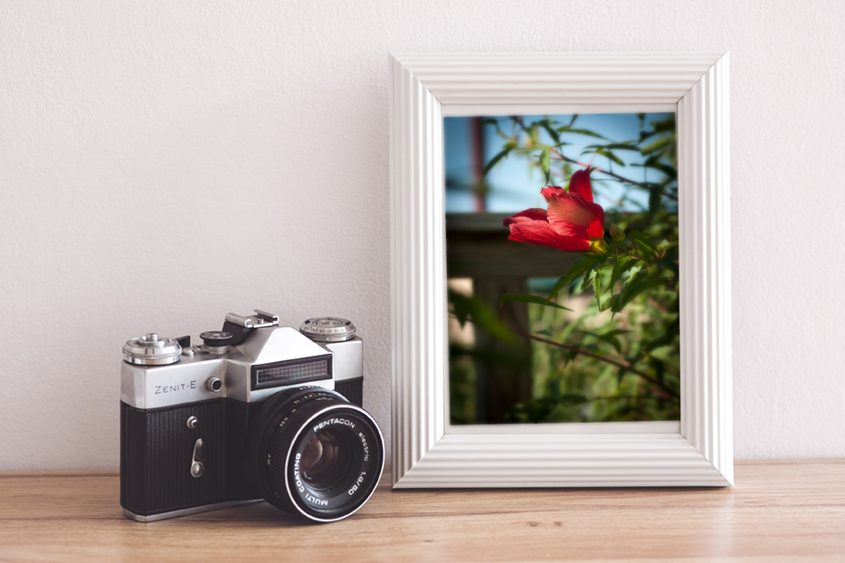Red, Red, Hibiscus Bloom Print Mockup