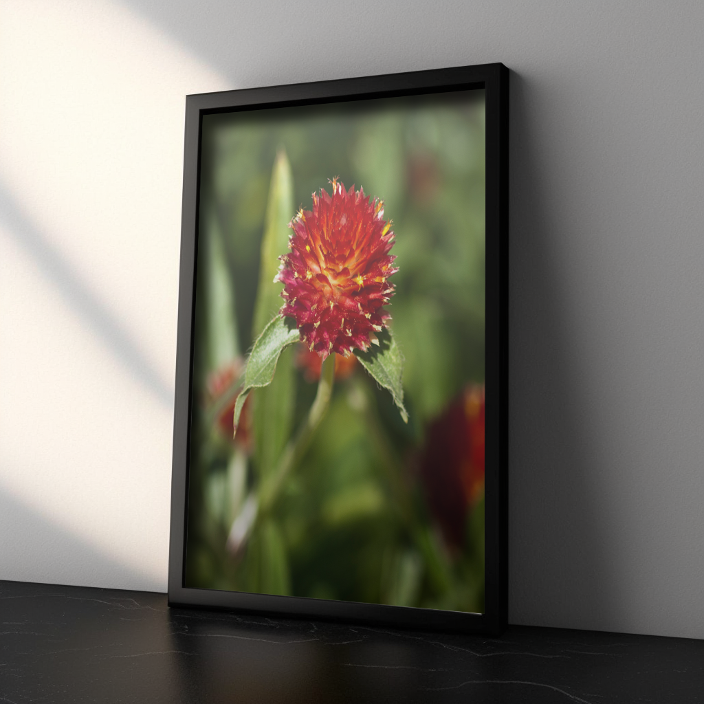 Globe Amaranth Print Mockup