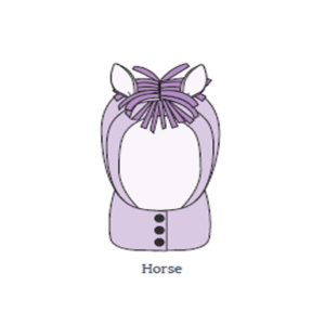 Horse headwear picture