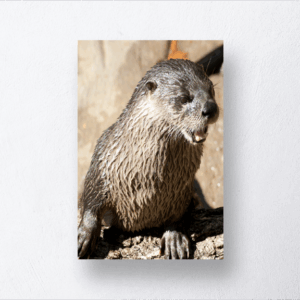 Sea Otter Art Print Mockup