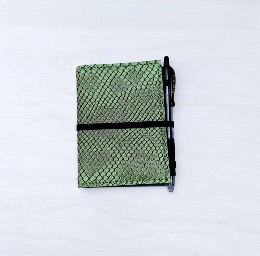 Mini Reptile Mini Notebook