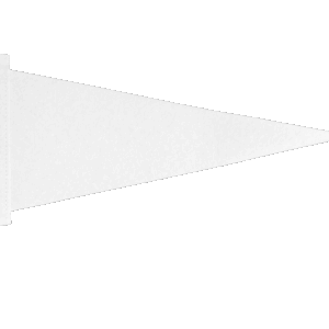 Sublimation Pennant Flag