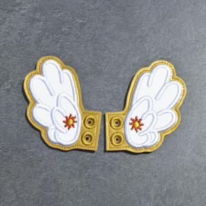 Celestial Pony Shoe Wings
