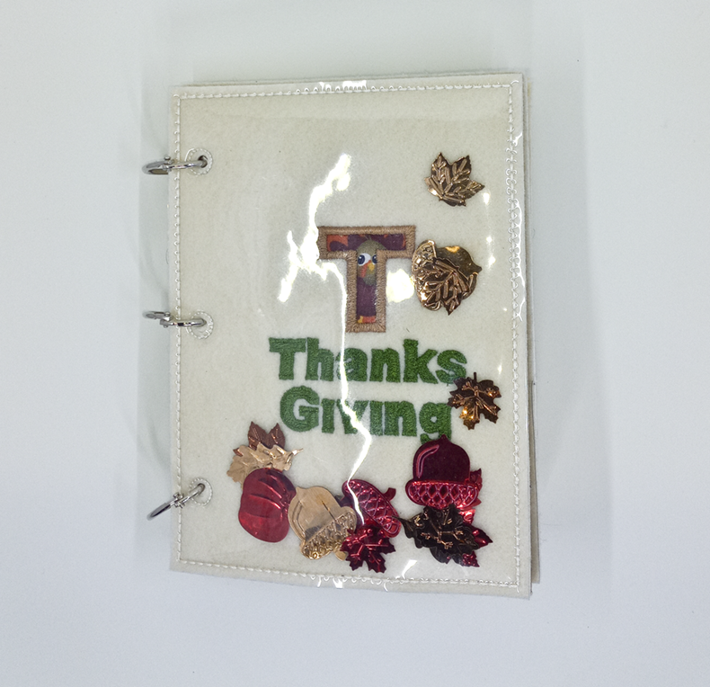Thanksgiving Puzzle Book