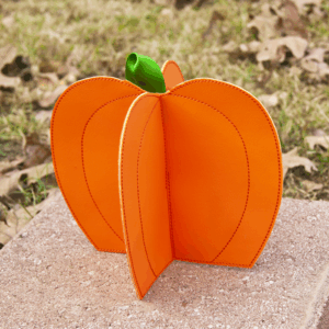 Pumpkin Center Piece