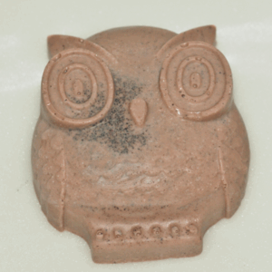 Pumpkin Spice Owl Shea Butter Soap