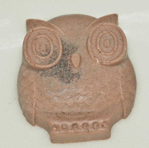 Pumpkin Spice Owl Shea Butter Soap