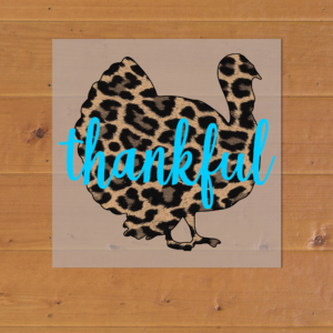 Thankful Heat Transfer