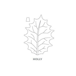 Holly Leaf Blanket/Play Mat