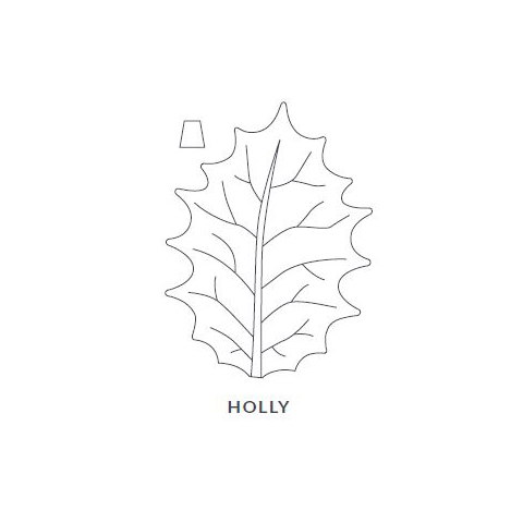 Holly Leaf Blanket/Play Mat
