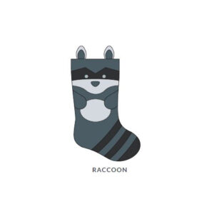 Raccoon Stocking Picture