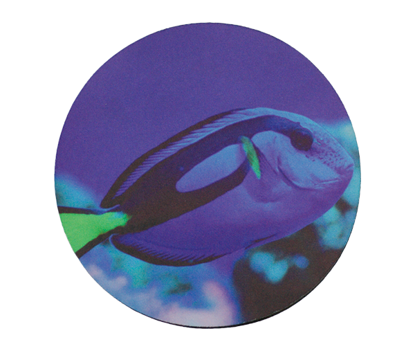 Blue Tang Mousepad- round
