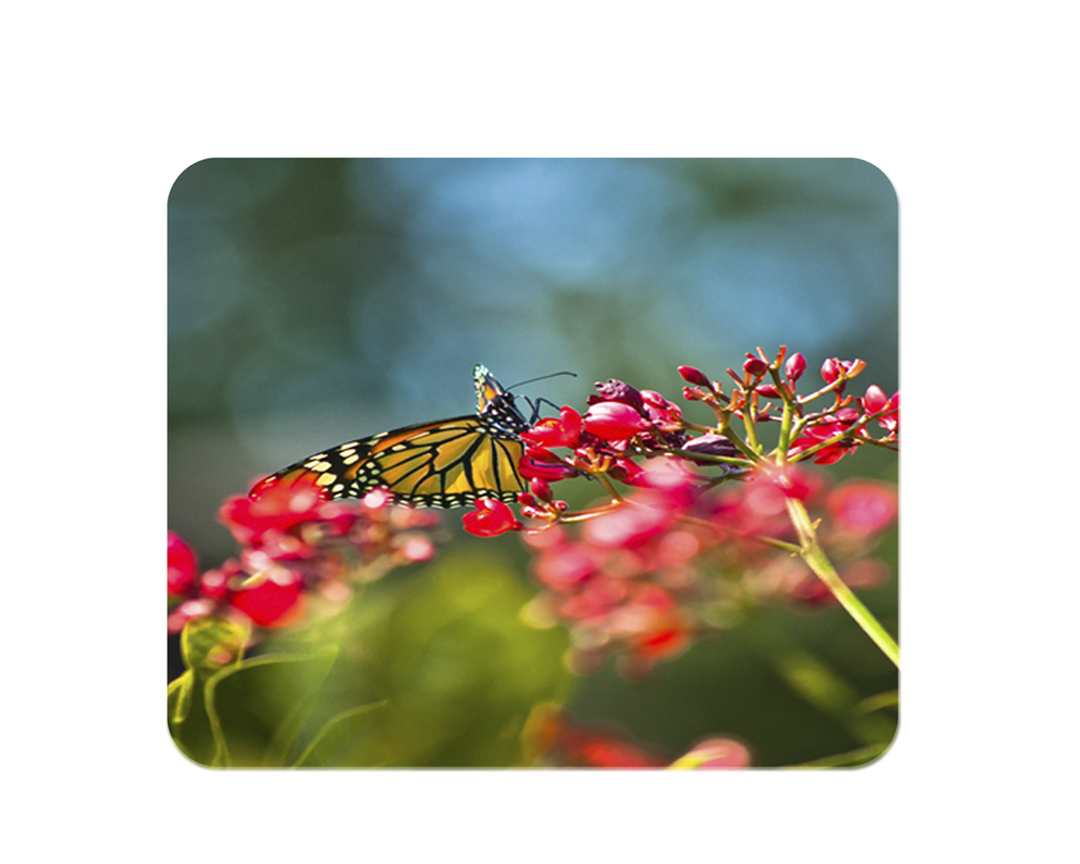 The Butterfly Mousepad Mockup