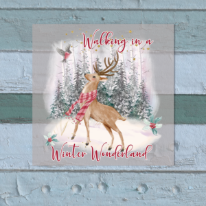 Walking In A Winter Wonderland Heat Transfer