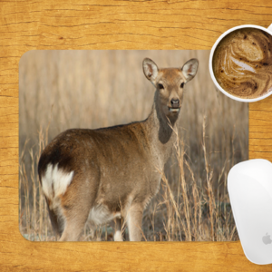 The Doe Mouse Pad- Rectangle