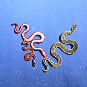 Curly Snake Patch