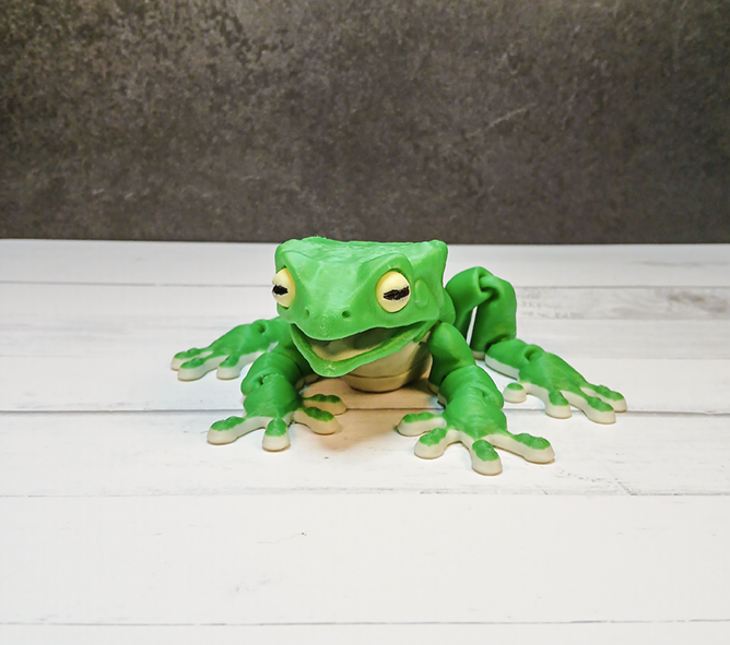 Articulated Waxy Monkey Tree Frog