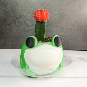 Frog Planter