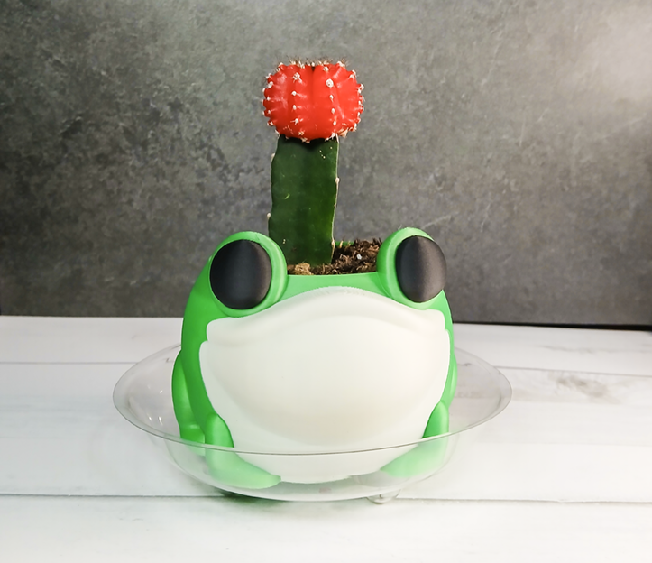 Frog Planter