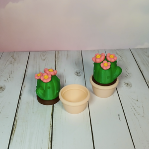 Cactus Container