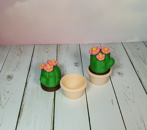 Cactus Container