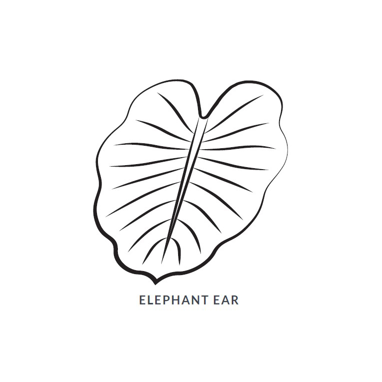 Elephant Ear Leaf Blanket/Play Mat picture