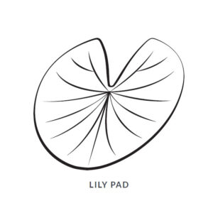 Lily Pad Leaf Blanket/Play Mat picture