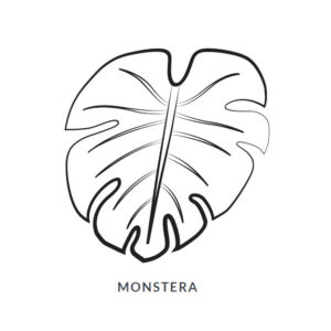 Monstera Leaf Blanket/Play Mat picture