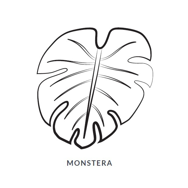 Monstera Leaf Blanket/Play Mat picture