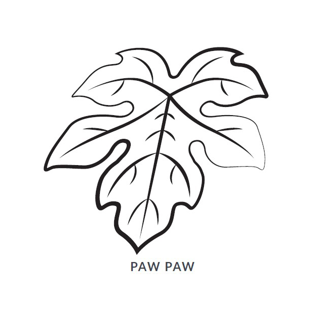 Paw Paw Leaf Blanket/Play Mat picture