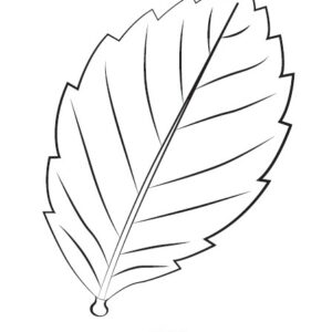 Elm Leaf Blanket/Play Mat picture