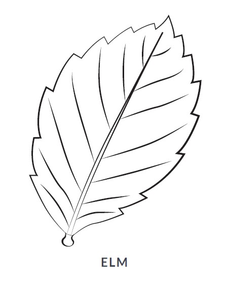 Elm Leaf Blanket/Play Mat picture