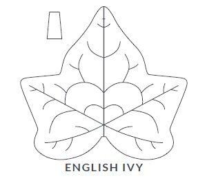 English Ivy Leaf Blanket/Play Mat Picture