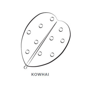 Kowhai Leaf Blanket/Play Mat picture