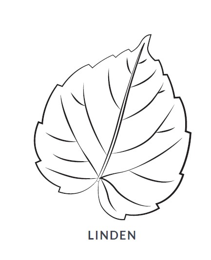 Linden Leaf Blanket/Play Mat picture