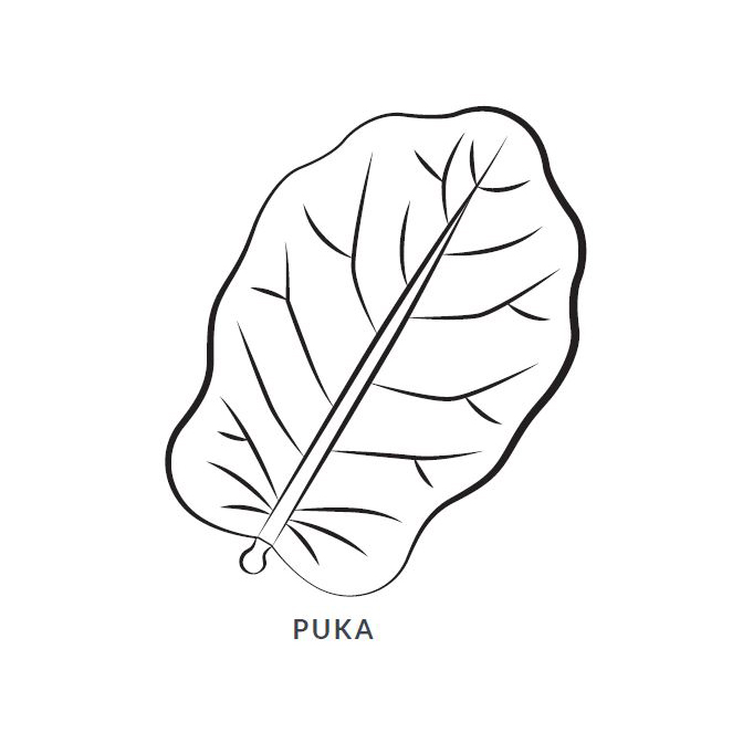 Puka Leaf Blanket/Play Mat Picture