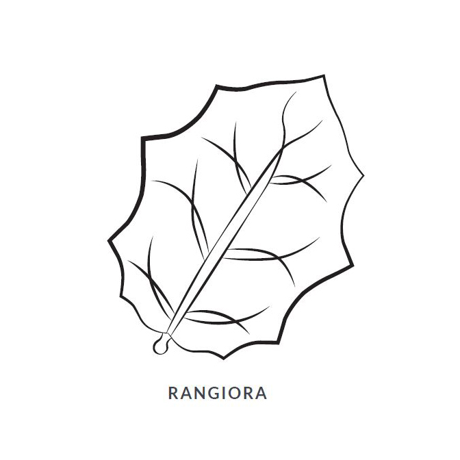 Rangiora Leaf Blanket/Play Mat picture