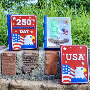 USA Book Playset